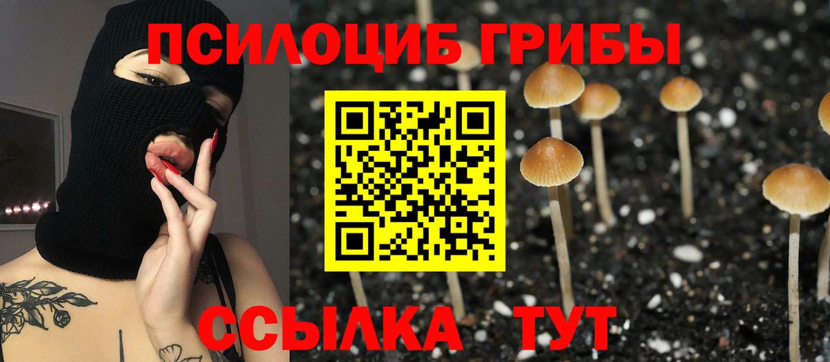 Галлюциногенные грибы MAGIC MUSHROOMS  Вход с VPN  Псилоцибиновые грибы Psilocybine cubensis  Тара 